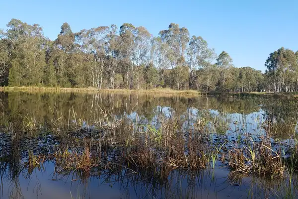 Rouse Hill Regional Playground — Outdoor Play in Rouse Hill